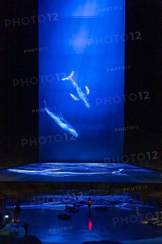 Plante Ozean exhibition in the Gasometer in Oberhausen, the world's oceans in their fragile beauty are the focus of the new exhibition, large-format photos, exhibits including a whale skeleton and an immersive large-scale video and sound installation, The Wave, on a 40 metre high screen measuring over 1000 square metres in total can be seen, Oberhausen, Germany, Europe