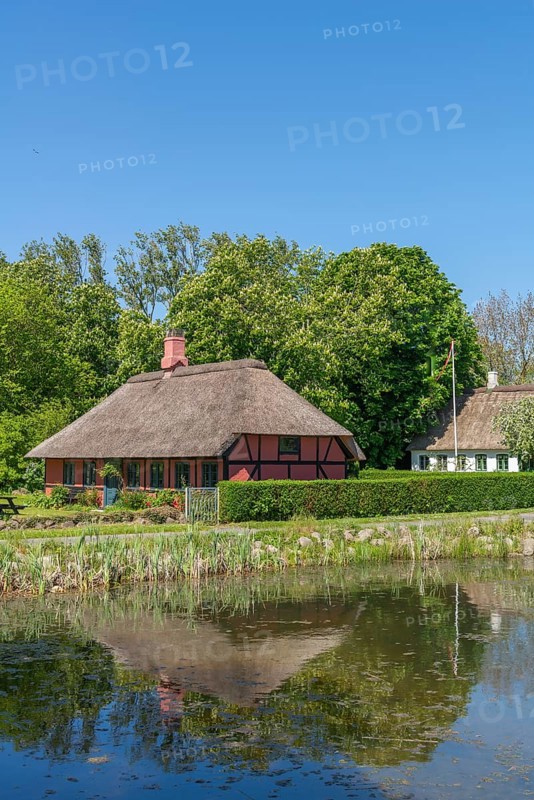 Island of Skarø, Skaroe, thatched half-timbered houses by the village pond, water reflection, idyll, Danish South Sea, group of trees, Sydfyn, South Funen, Denmark, Europe