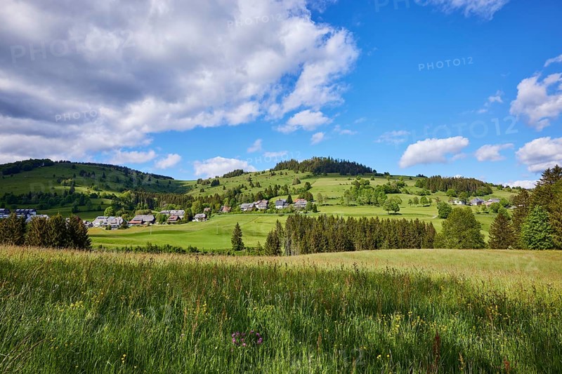 Landscape with hills, meadows, forests and a village under a blue sky with cumulus clouds near Bernau in the Black Forest, Black Forest, Waldshut district, Baden-Württemberg, Germany, Europe