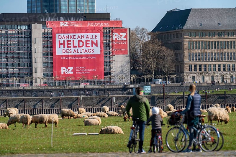A construction company has hung a large poster on a building facade on the Rhine promenade, thanking the heroes of everyday life, Düsseldorf am Rhein, during the corona crisis, effects of the corona crisis in Germany