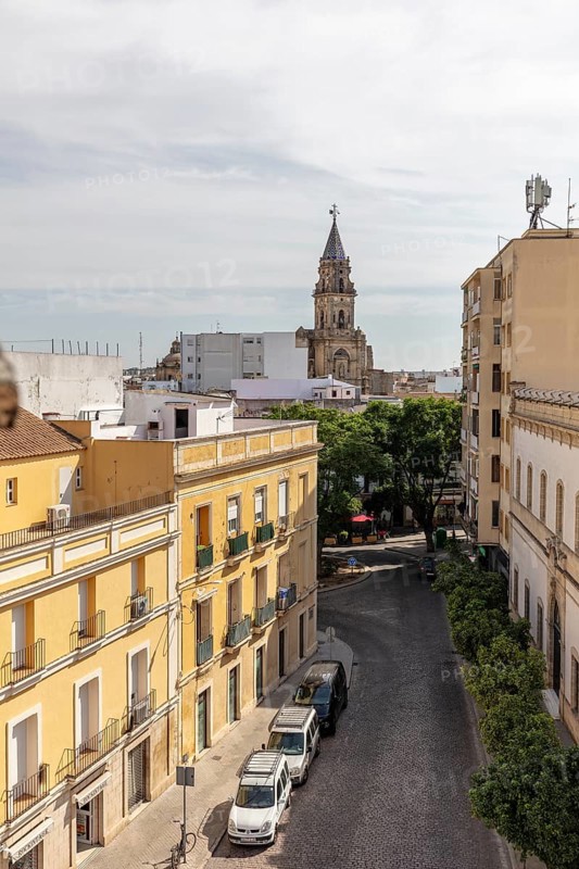 View of a street in the city with a large church in the background, Jerez