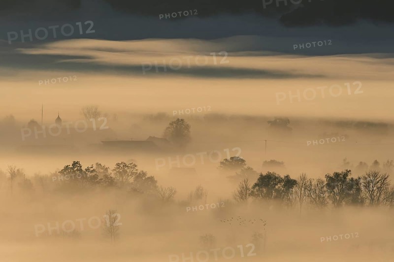 Foggy mood, fog, morning light, church tower, backlight, autumn, Loisach-Lake Kochel moor, view of Schlehdorf, Alpine foothills, Bavaria, Germany, Europe
