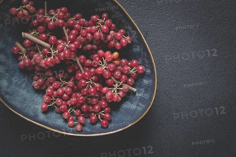 Shtoshi berry, Shepherd's pie, a hybrid of sea buckthorn and barberry, top view, no people