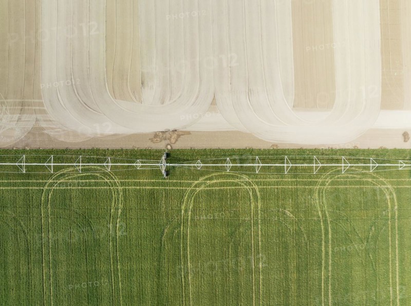 Adjoining fields. One irrigated and with crop. The other one about to be seeded. Aerial view. Drone shot. Cádiz province, Andalusia, Spain, Europe