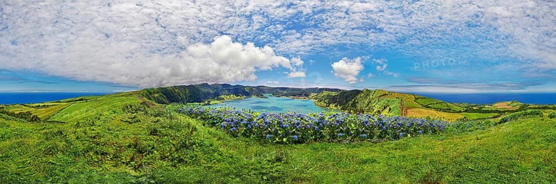 360° panorama of the Caldeira das Sete Cidades with the crater lake Lagoa Azul and blue horternsia bush with a view of the vast Atlantic Ocean, crater circular hiking trail, Caldeira das Sete Cidades, Lagoa Azul, Sao Miguel, Portugal, Europe