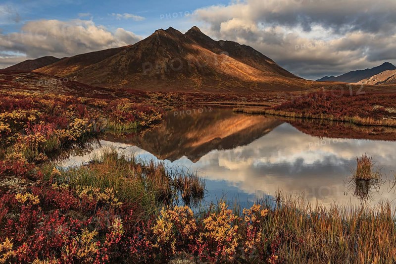 Morning light, clouds, fog, autumnal tundra, autumn colours, wilderness, mountains reflected in lake, Ogilvie Mountains, Dempster Highway, Yukon, Canada, North America