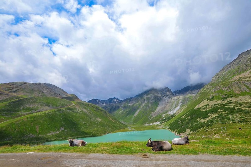 View of the Riffelsee in Pitztal, Tyrol, Austria, Europe