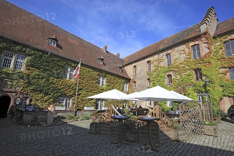 Inner courtyard and vineyard of Saaleck Castle near Hammelburg, Lower Franconia, Bavaria, Germany, Europe