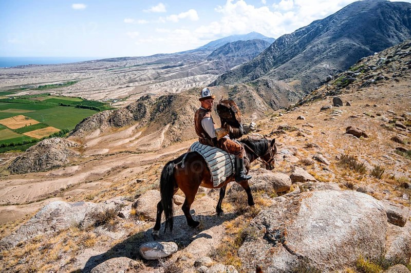 Traditional Kyrgyz eagle hunter in the mountains hunting on horseback, near Kysyl-Suu, Kyrgyzstan, Asia
