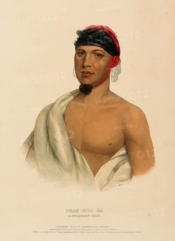 Peah-Mus-Ka. A Musquake Chief (1838), Native American, Historical Native American tribes from North America, Charles Bird King (1785, 1862), Historical, digitally restored reproduction from a 19th century original, Record date not stated