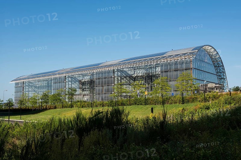 European Investment Bank, ECJ, Kirchberg-Plateau, Luxembourg City, Luxembourg, Europe