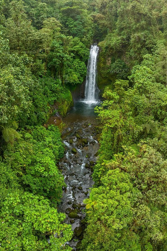 Aerial view, waterfall in the rainforest, Catarata de la Paz, La Paz Waterfall Gardens Nature Park, Alajuela Province, Costa Rica, Central America
