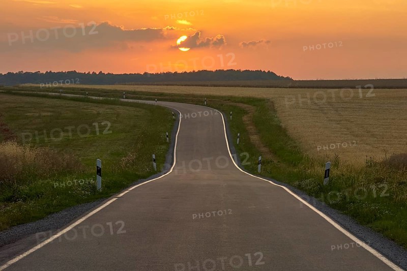 Winding country road at dusk, in midsummer, Marktheidenfeld, Main Spessart, Bavaria, Germany, Europe