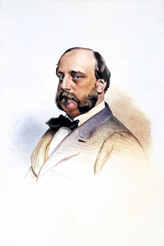 Henri d'Artois (full name: Henri Charles Ferdinand Marie Dieudonné de Bourbon-Artois, duc de Bordeaux, comte de Chambord, * 29 September 1820 in the Palais des Tuileries, Paris, † 24 August 1883 at Frohsdorf Castle, Austria) was proclaimed King of France as Henry V by the French legitimists after the abdication of his grandfather Charles X. was proclaimed King of France as Henry V by the French legitimists on 2 August 1830, Historical, digitally restored reproduction from a 19th century original, Record date not stated