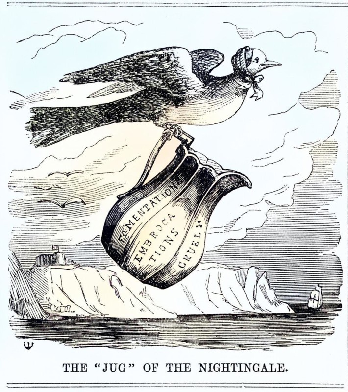 Florence Nightingale (12 May 1820 - 13 August 1910) was a British nurse, statistician, founder of modern western nursing, English nurse, flying to the aid of British troops in the Crimea. From Punch, London, 1854, Wood engraving, Historic, digitally restored reproduction from a 19th century original, Record date not stated