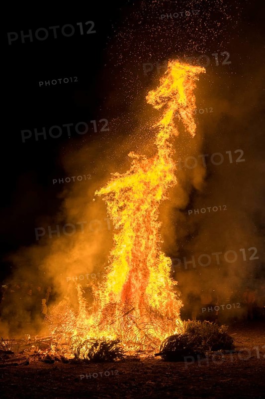 Environmental pollution, fire from discarded Christmas trees, Ostfildern-Plieningen, Baden-Württemberg, Germany, Europe