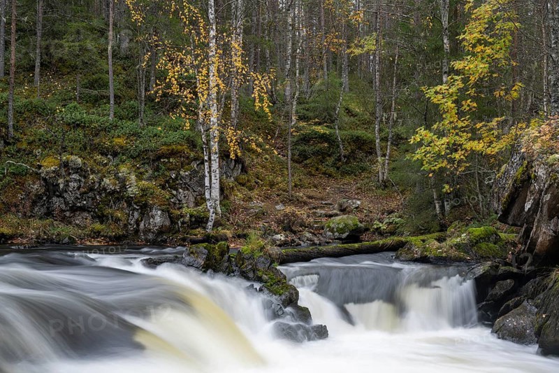 River course in Oulanka National Park, Finland, Europe