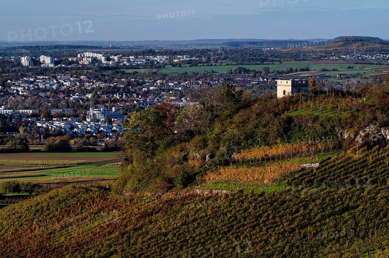 Schützenhüttle-Esel, behind Waiblingen, vineyard, vines, grapevines, viticulture, autumn colouring, autumn, Strümpfelbach, Weinstadt, Baden-Württemberg, Germany, Europe