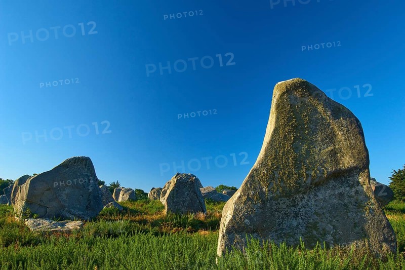 Neolithic menhirs, large standing stones in Carnac, with blue sky in the background, Carnac, Quiberon, Morbihan, Brittany, France, Europe