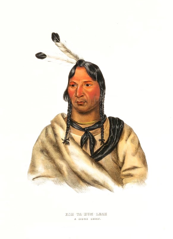 American Indian, Native American, Esh-Ta-Hum-Leah, a Sioux chief, United States of America, USA, Painting by Charles Bird King (1785, 1862), c. 1840, Historic, digitally restored reproduction from a 19th century original, Record date not stated, North America
