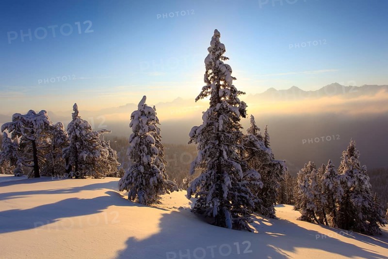 Bernese Alps, View from the Niederhorn, Bernese Oberland, Switzerland, Europe