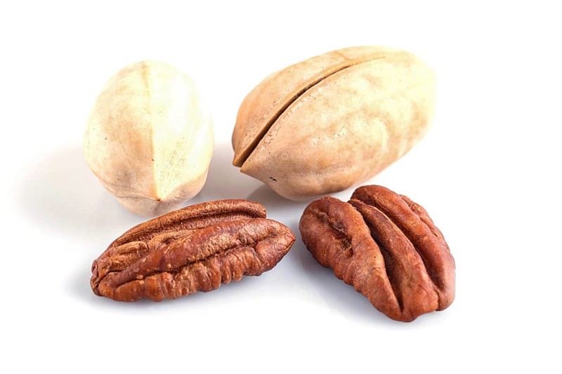 Pile of pecan nuts with shell isolated on white background. close up