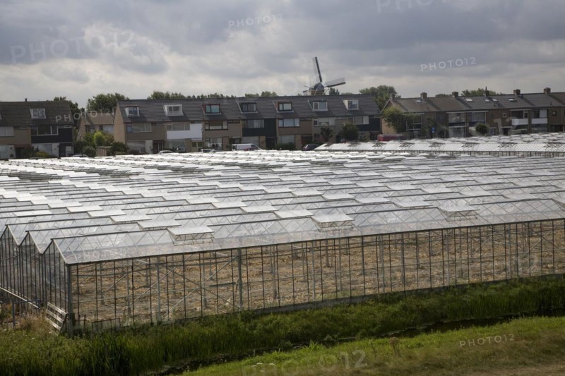 Greenhouses Monster Holland