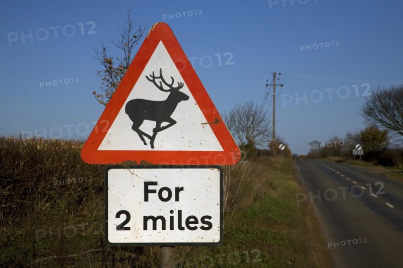 Road sign warns of deer for 2 miles ahead