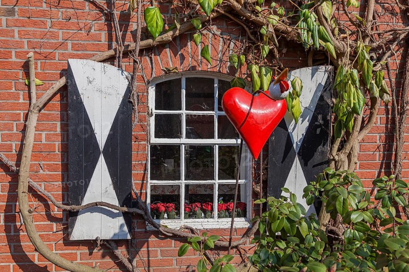 Transom window with heart decoration, entwined with ivy Raesfeld, Münsterland, North Rhine-Westphalia, Germany, Europe