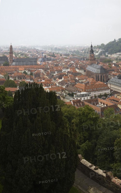 High angle view of old architectural style buildings, churches with traditional terracotta ceramic tiled rooftops in Heidelberg, Germany, Europe