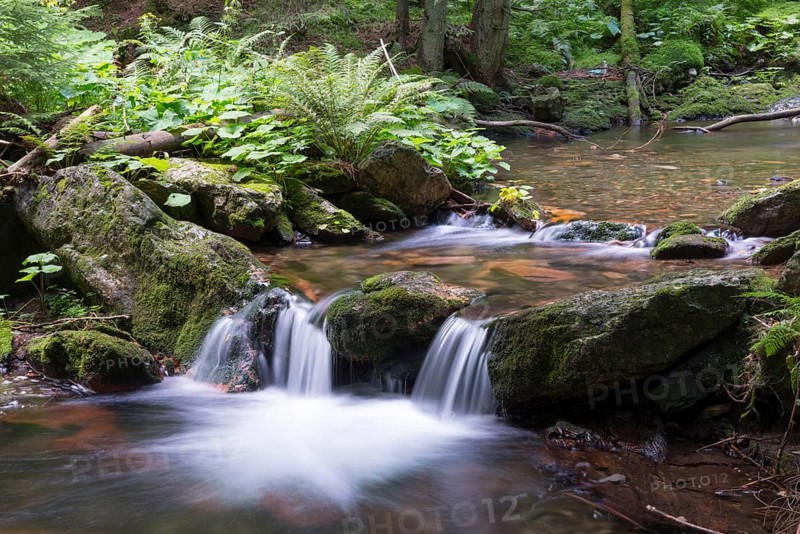 Small waterfall and flowing stream surrounded by lush forest, White Oppa, Bílá Opava, Bila Opava, near Karlova Studánka, Studanka, Bad Karlsbrunn, Moravskoslezský kraj, Czech Republic, Europe
