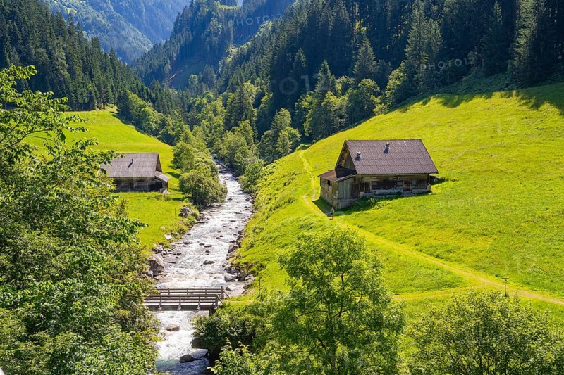 Alpine valley with two houses next to a rushing stream, surrounded by green meadows and wooded hills, Zillertal, Austria, Germany, Europe