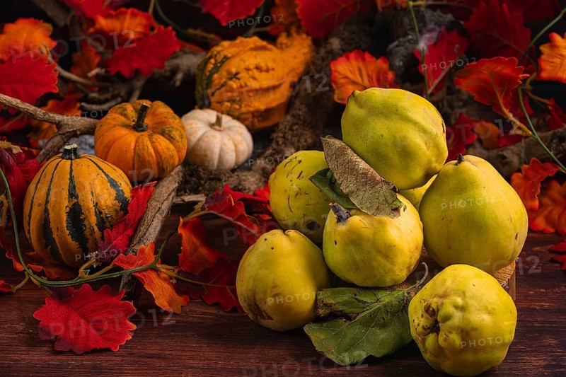 Autumnal still life with quinces, pumpkins and colourful autumn leaves