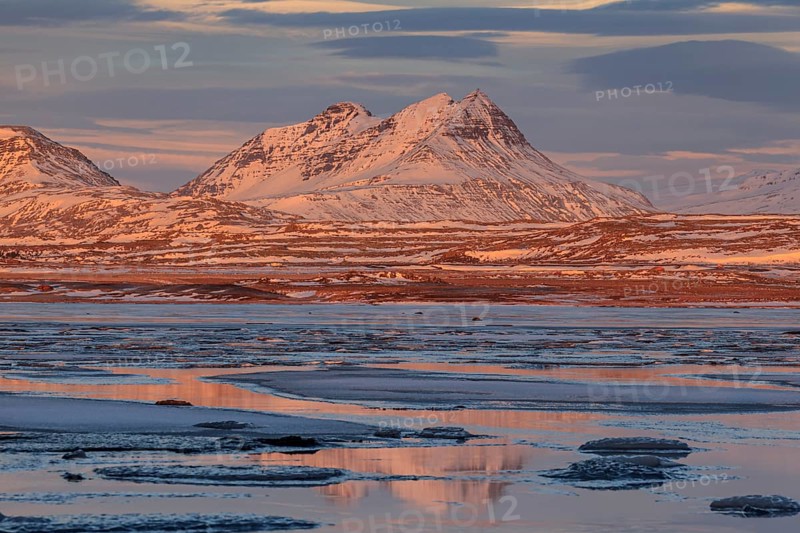 Morning light on Bergen on the coast, icy fjord, Breiddalsvik, East Fjords, Iceland, Europe