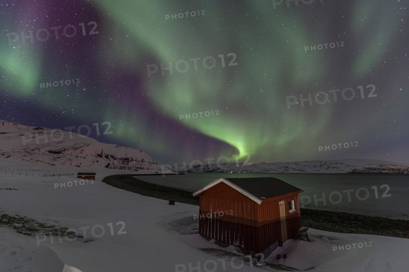 Green and violet northern lights over a red house on the coast, aurora borealis, winter, snow, Repparfjord, Finnmark, Norway, Europe