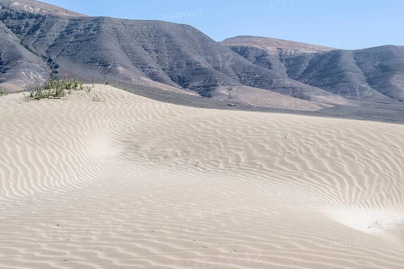 Dune landscape, Playa de Famara, Lanzarote, Canary Islands, Spain, Europe