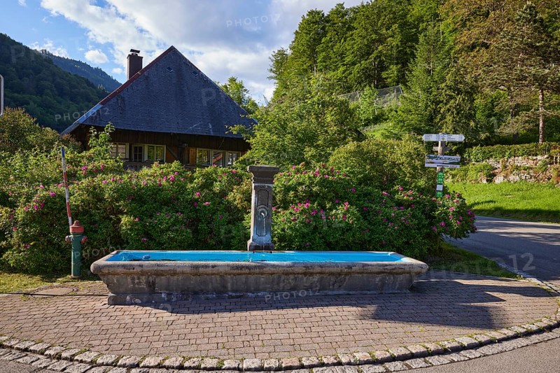 Fountain in the historic district of Geschwend, Todtnau, Black Forest, district of Lörrach, Baden-Württemberg, Germany, Europe