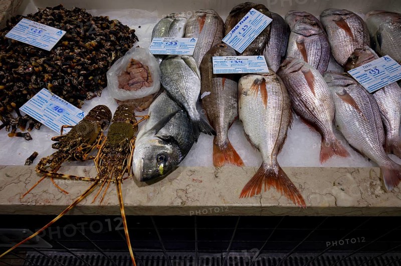 Fish counter, fresh fish, display of fresh fish, crayfish, mussels, bream, perch, market hall, Mercado Municipal de Lagos, Lagos, Algarve, Portugal, Europe