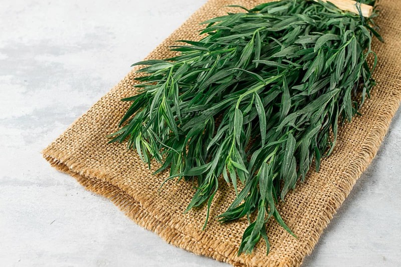 Fresh Tarragon, bunch, top view, close-up, no people