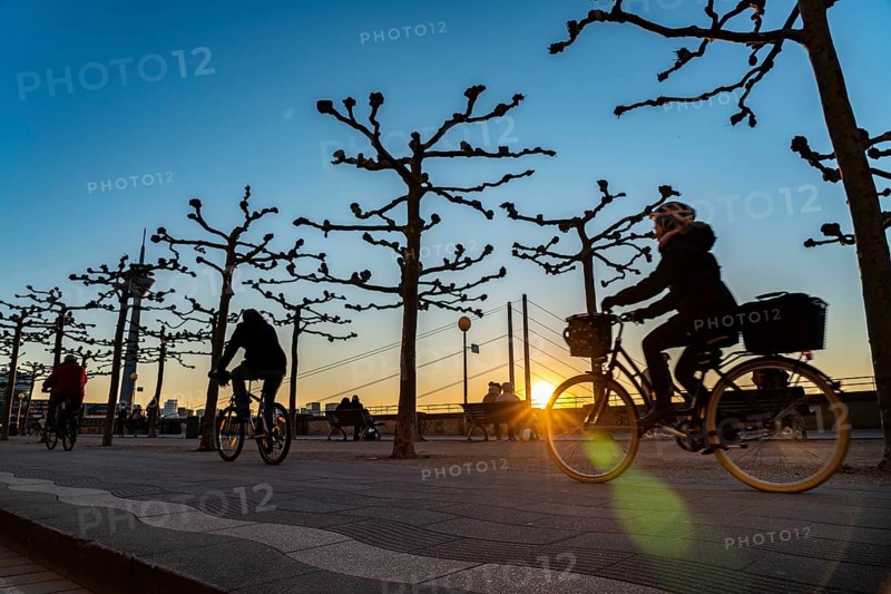 Rhine promenade, Rhine bank at the old town of Düsseldorf, Rhine knee bridge, Rhine tower, cycle path, footpath, spring, bare trees, sunset, North Rhine-Westphalia, Germany, Europe