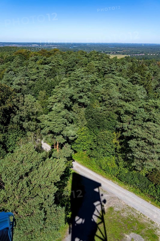 Forest area The Haard, in the northern Ruhr area, bordering the Münsterland, part of the Hohe Mark nature park Park, approx. 55 km2 in size, view from the Rennberg fire watch tower to the north, North Rhine-Westphalia, Germany, Europe