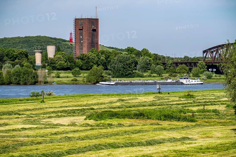 View across the Rhine meadows near Duisburg-Beeckerwerth to the Rheinpreußen spoil tip in Mörs, with the spoil tip sign Das Geleucht, former Rheinpreußen Schacht VIII colliery, cargo ship, North Rhine-Westphalia, Germany, Europe
