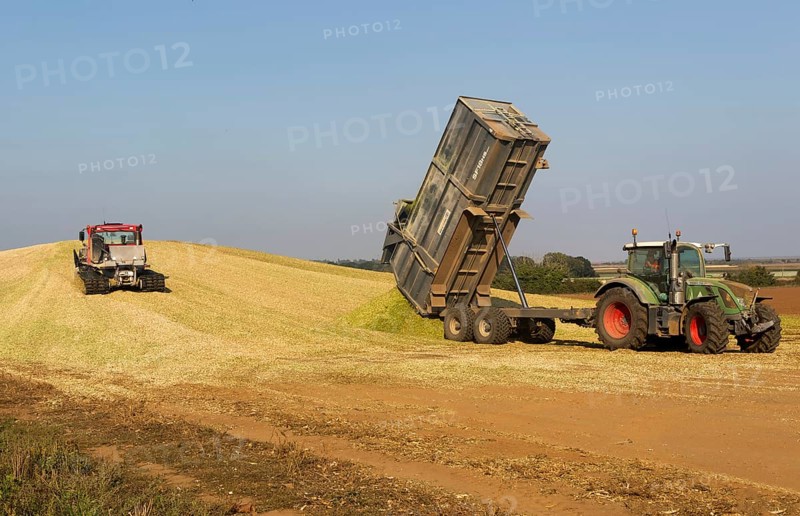 Piston Bully tracked bulldozer vehicle building silage clamp of sweetcorn maize in field stored for biofuel, Alderton, Suffolk, England, UK