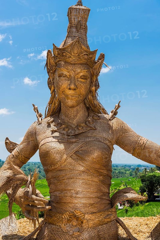 Statue of Dewi Sri, goddess of rice, rice goddess, Jatiluwih rice terraces, Bali Indonesia