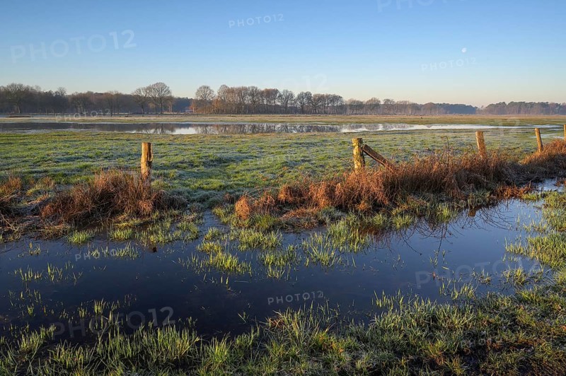 Flooded wet meadow, in winter, NSG Dingdener Heide, North Rhine-Westphalia, Germany, Europe