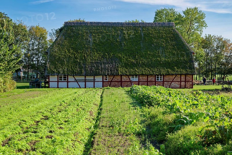 Historic Selmsdorf farmhouse, Klockenhagen open-air museum, historic Mecklenburg village, Mecklenburg farmhouses, Klockenhagen, Mecklenburg-Western Pomerania, Germany, Europe