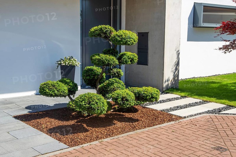 Modern and well-kept front garden with beautiful planting