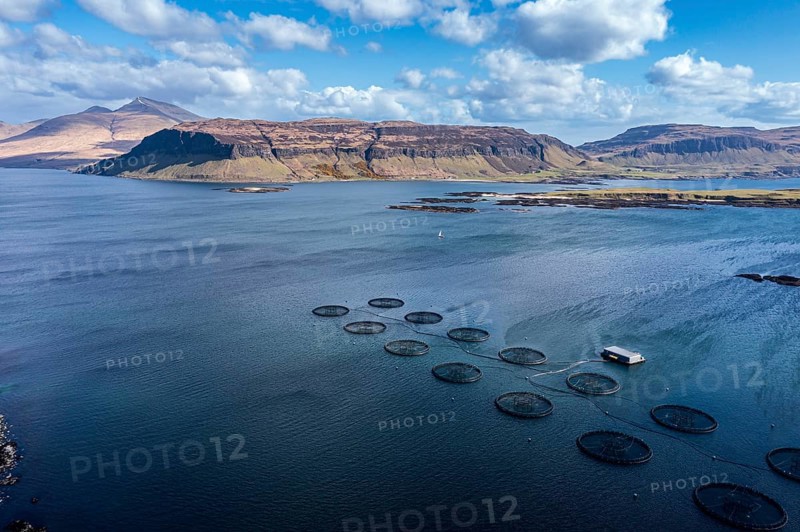 Floating cages of a salmon farm, sea between Isle of Ulva and Isle of Mull, Mt. Ben More (Mull) in the back, aerial view, Scotland, UK