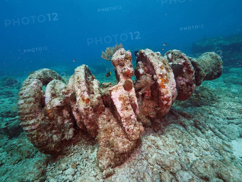 Winch of an old sunken shipwreck on the seabed. Dive site John Pennekamp Coral Reef State Park, Key Largo, Florida Keys, Florida, USA, North America