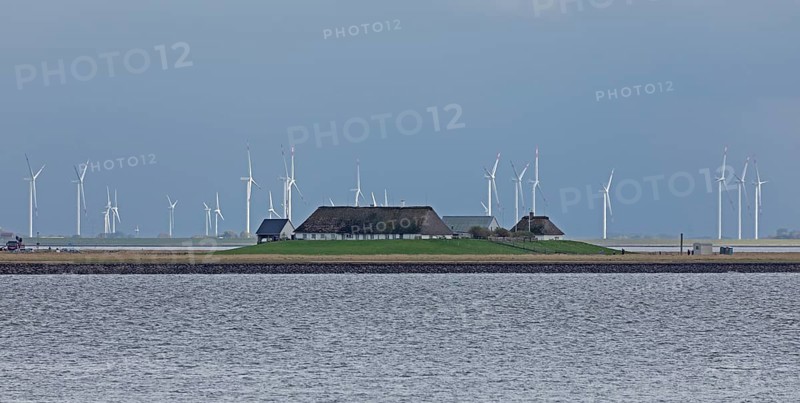 Thatched roof houses, wind turbines, Hamburger Hallig, North Friesland, Schleswig-Holstein, Germany, Europe